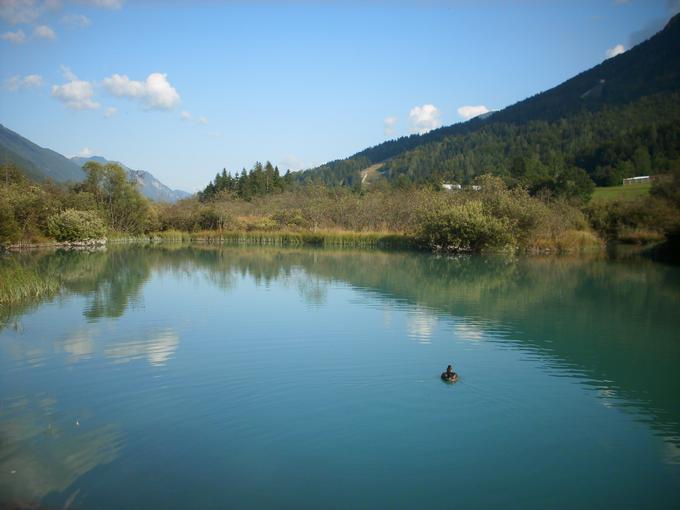 Pozornejši obiskovalci bodo v vodah Zelencev hitro uzrli potočno postrv, v okolici pa domujejo tudi nekatere ogrožene živalske in rastlinske vrste.  | Foto: Srdjan Cvjetović