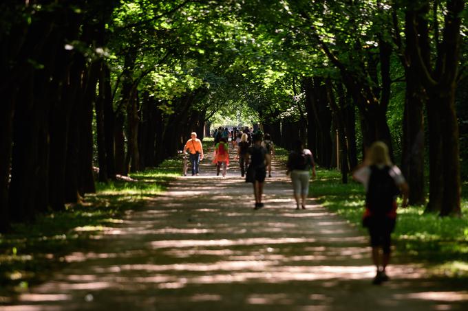 Pot ob žici 2020 | Foto: Nebojša Tejić/STA