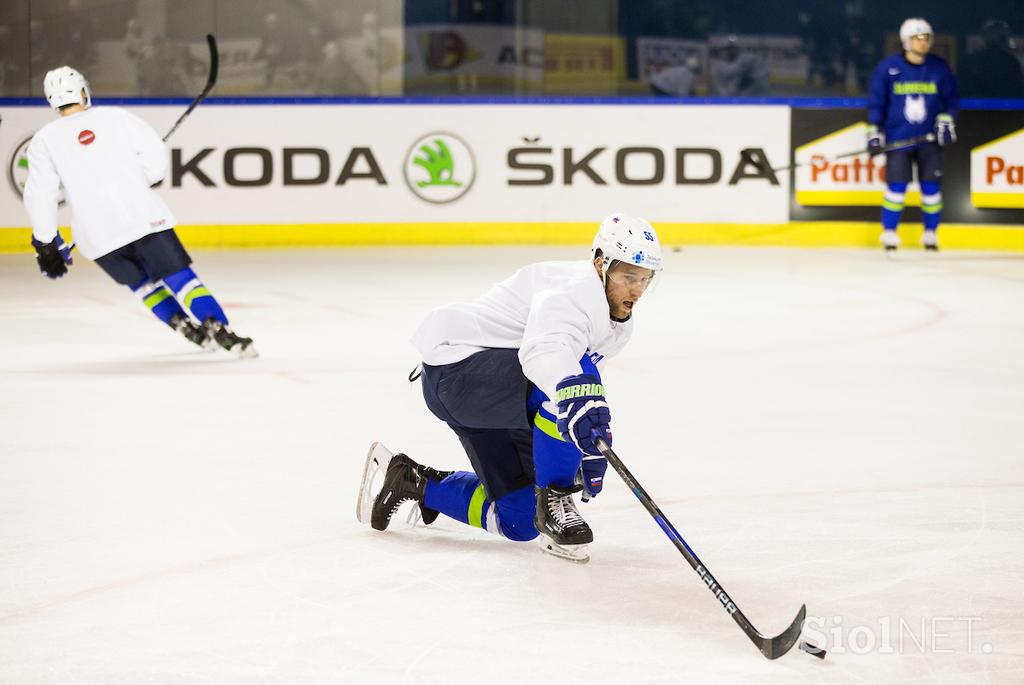 slovenska hokejska reprezentanca trening