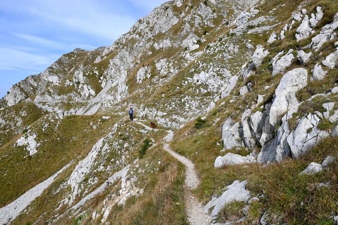 Nejlepši del vzpona na Zermulo: po severni steni po mulatjeri, ki se zložno vzpenja. | Foto: Matej Podgoršek