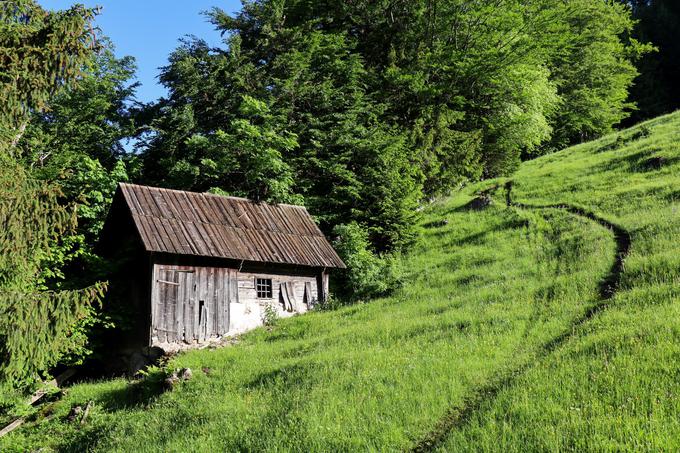 Goreljše | Foto: Matej Podgoršek