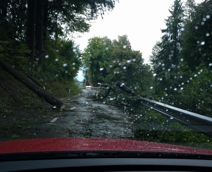 Posledice neurja v Bogenšperku | Foto: Bralec Miha Stopar