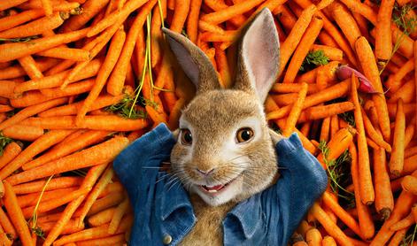 Peter Zajec (Peter Rabbit)