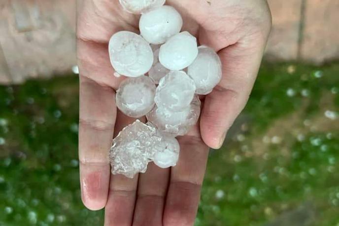 Toča | Slovenijo in njene kmetovalce je v zadnjem času prizadelo več neurij s točo. | Foto Neurje.si