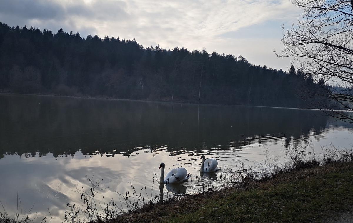 Gradiško jezero | Foto Katja Nakrst