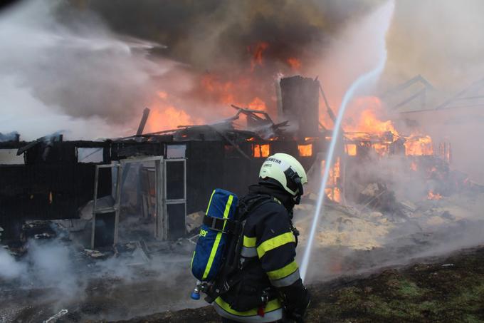 Gašenje požara blizu Lipnice | Foto: Stadtfeuerwehr Leibnitz