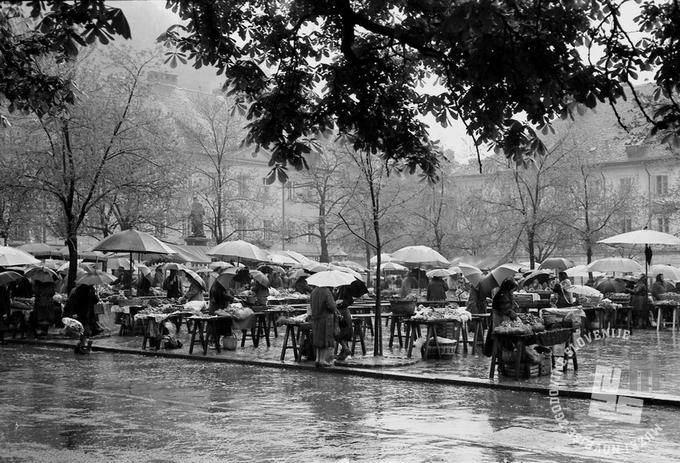 Ljubljanska tržnica leta 1964 | Foto: Marjan Ciglič, hrani MNZS