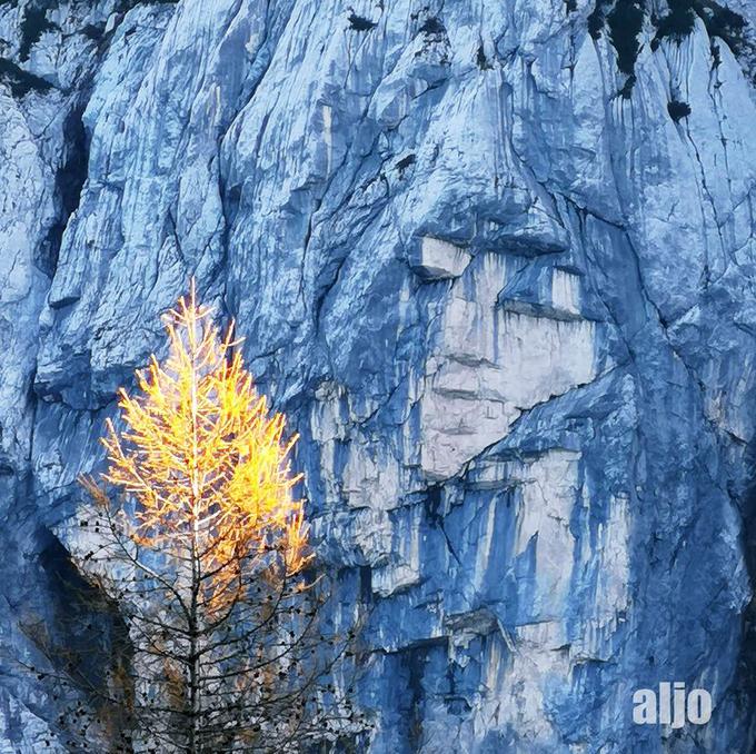 Ajdovska deklica v severni steni Prisojnika, ki jo je v objektiv ujel Aljoša Žorga. | Foto: Aljoša Žorga