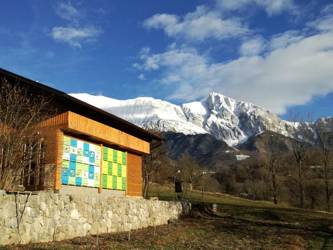 Apiturizem Kozjak čebelnjak | Foto: Apiturizem Kozjak