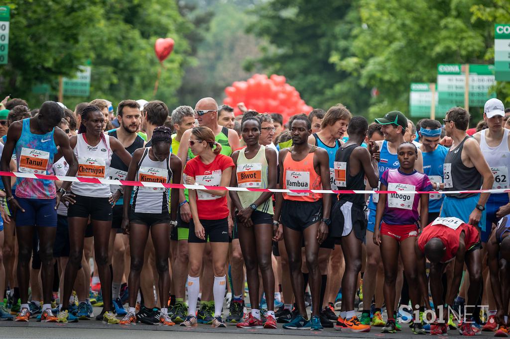 Maraton Treh src, Radenci