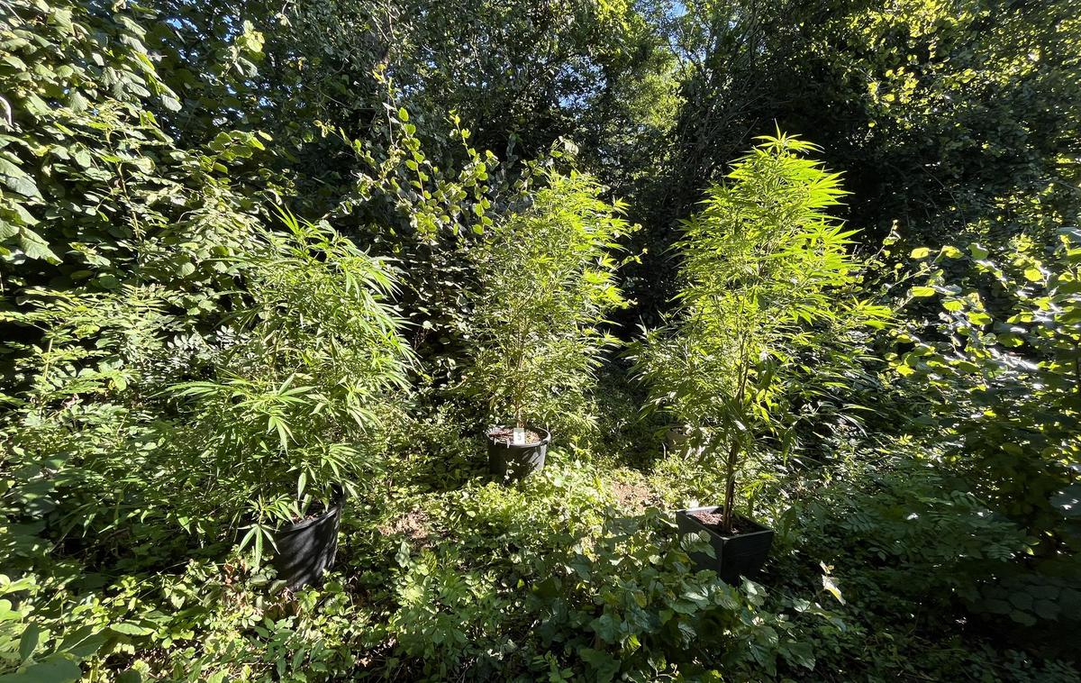 pogrešana oseba, iskalna akcija | Dobro se je izteklo. | Foto PU Murska Sobota