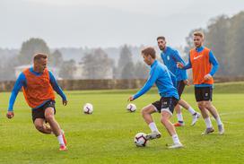 Slovenska nogometna reprezentanca Trening