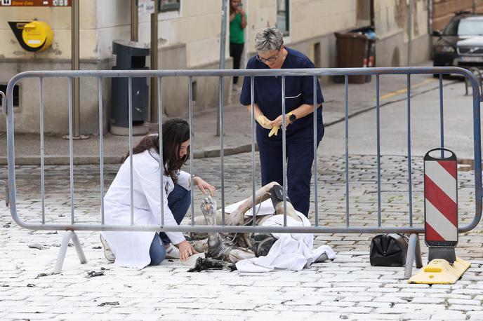 Moški zažgal na Markovem trgu, Zagreb | Moški je utrpel hude opekline.  | Foto Pixsell