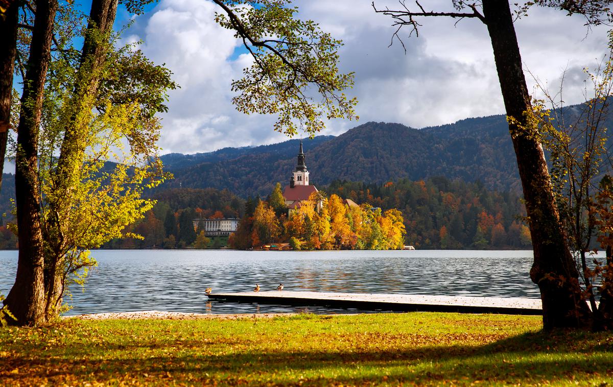 Bled, Blejsko jezero, jesen | Za vodenje Bleda ni posebnega zanimanja. Sedanji župan Janez Fajfar namreč nima protikandidata. | Foto Thinkstock