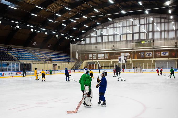 hokejska akademija Anže Kopitar Tomaž Razingar | Foto: Grega Valančič/Sportida