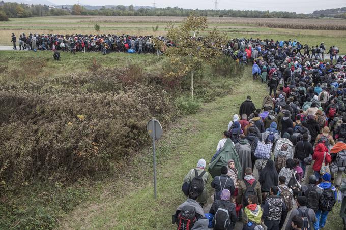 Drugi migrantski val je bil veliko večji od prvega. | Foto: Matej Leskovšek