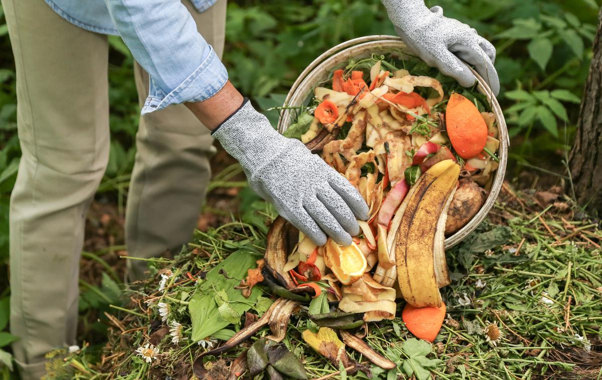 kompost, kompostiranje | Foto Shutterstock