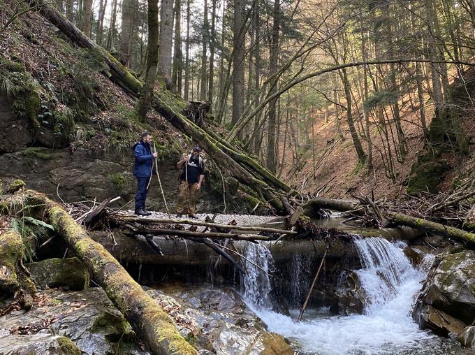 Preživetje v divjini | Foto: 