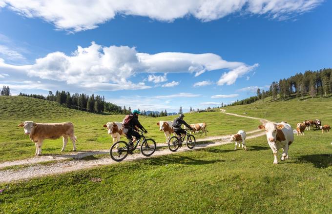 Vir: Tržič (Fotografija: Jošt Gantar) | Foto: 