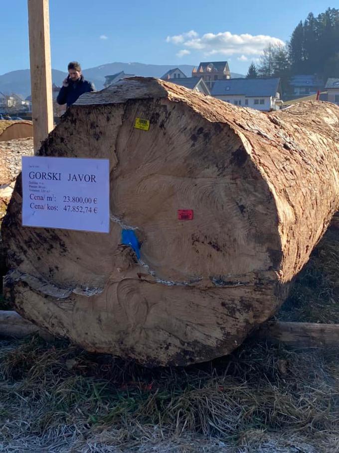 hlod | Foto: Slovenski državni gozdovi