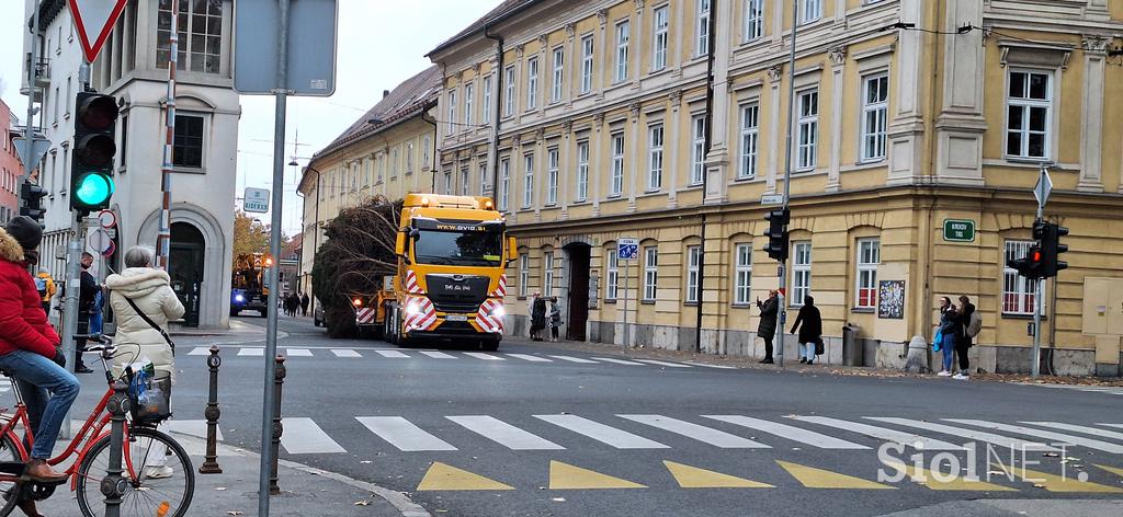 prevoz smreke v Ljubljani