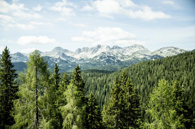 Planina Dedno polje, gore | Foto: Ana Kovač