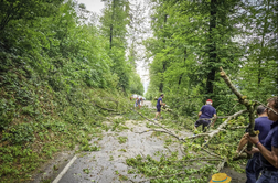 Zaradi udara strele ena oseba v bolnišnici, neprevozne ceste, veter podiral drevesa #video #foto