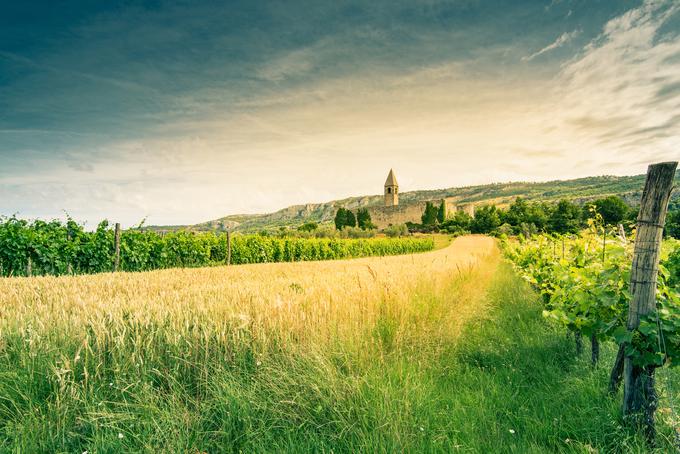 Kraškorobna naselja Črni Kal, Črnotiše, Gračišče, Hrastovlje, Kubed, Podpeč in Socerb so razglašena za kulturne spomenike. Na fotografiji: Hrastovlje, kjer si v cerkvi svete Trojice lahko ogledamo znamenito fresko Mrtvaški ples. | Foto: Getty Images