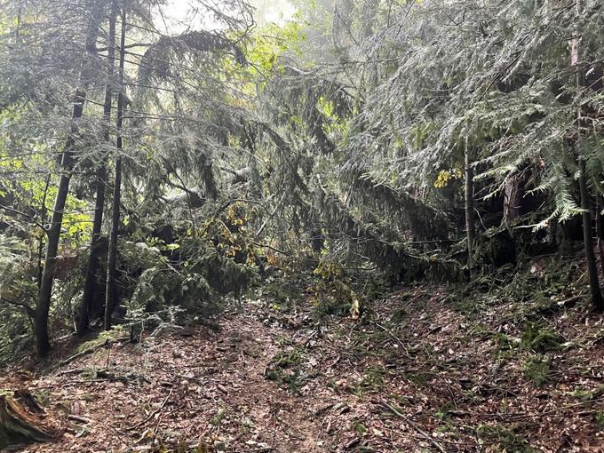 poškodovana planinska pot | Foto: arhiv PD Ribnica na Pohorju