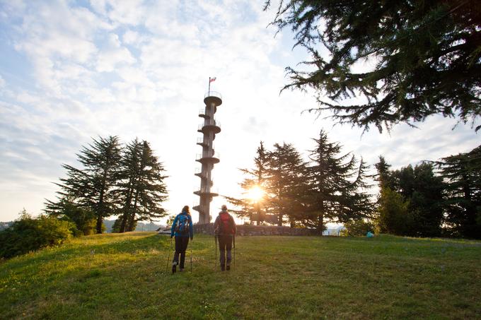 Razgledni stolp Gonjače ponuja pravljičen razgled na briške griče. | Foto: Jošt Gantar (www.slovenia.info)