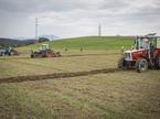 Tekmovanje v oranju, orači, traktor, oranje