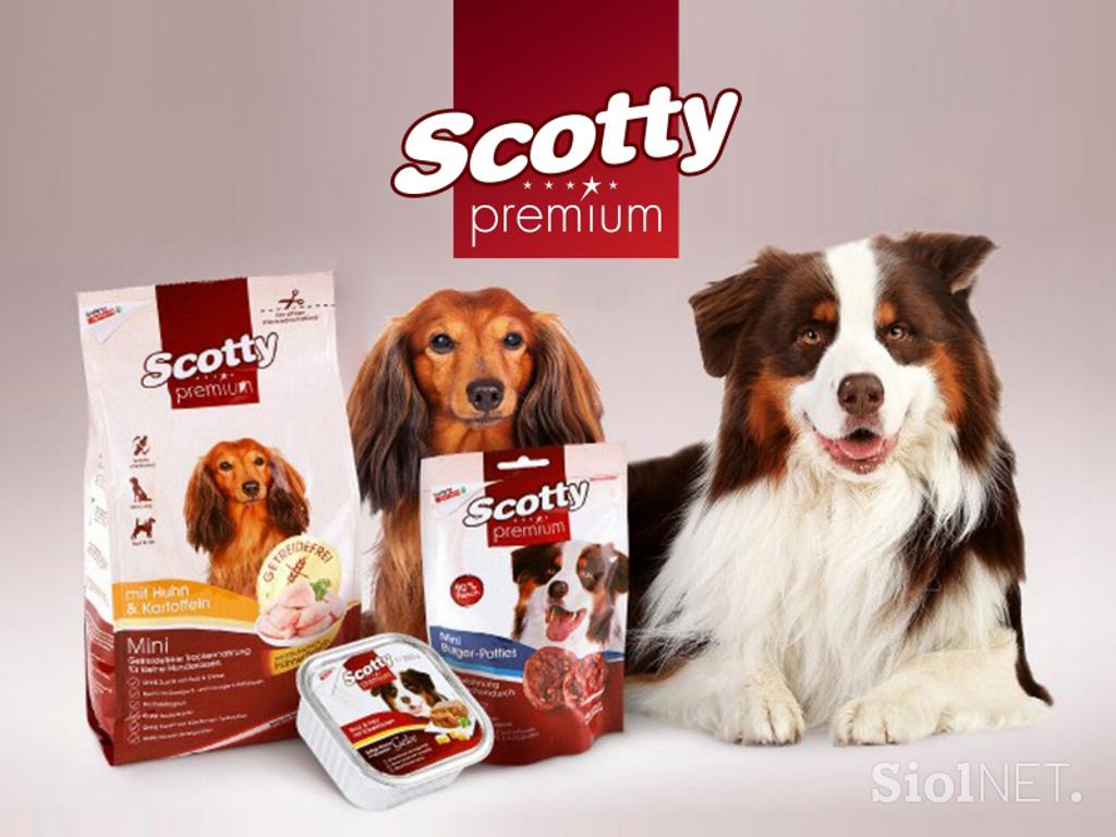 Scotty premium