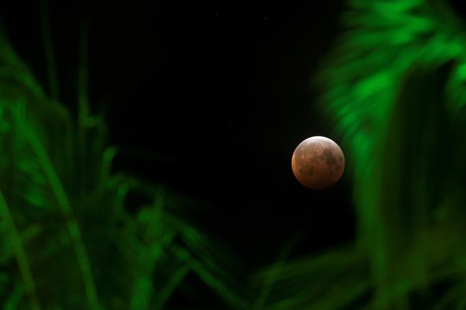 Honolulu, Havaji.  | Foto: Reuters