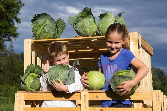 kmetija Požar Mercator | Foto: 