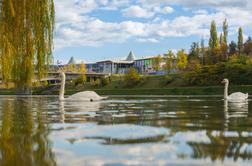 Europark Maribor ponovno posluje ob nedeljah