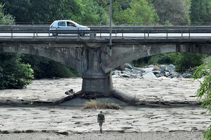 suša | Foto: Reuters