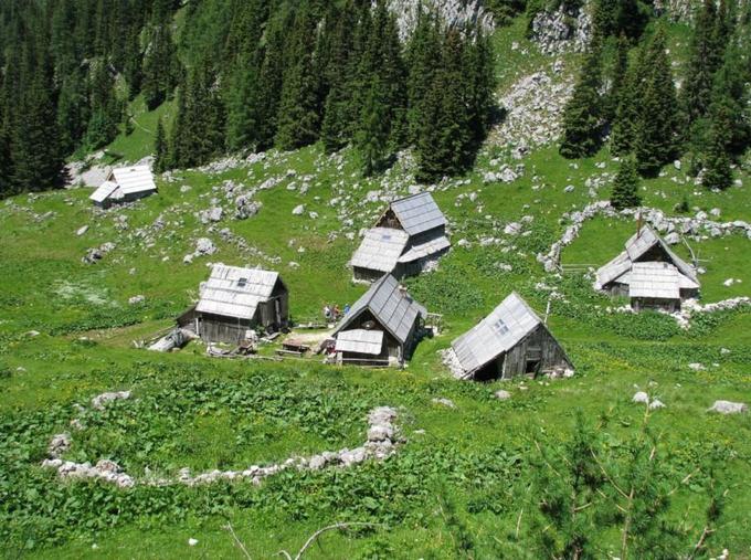 Bregarjevo zavetišče na planini Viševnik | Foto: 