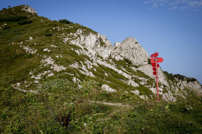 Nives Dejan Črna prst | Foto: Ana Kovač