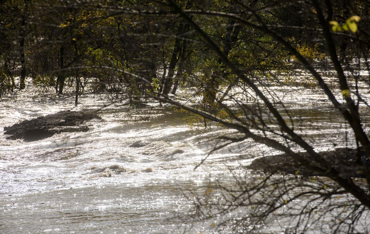 Drava | Moški je kljub hitri zdravstveni pomoči na kraju umrl. | Foto STA