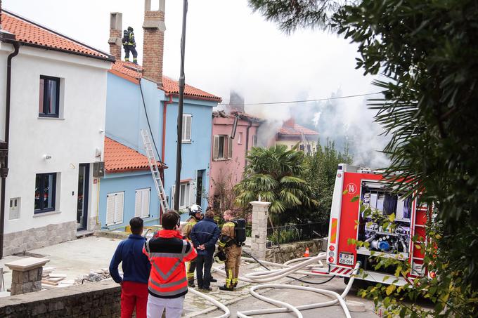  | Foto: Tomaž Primožič/FPA