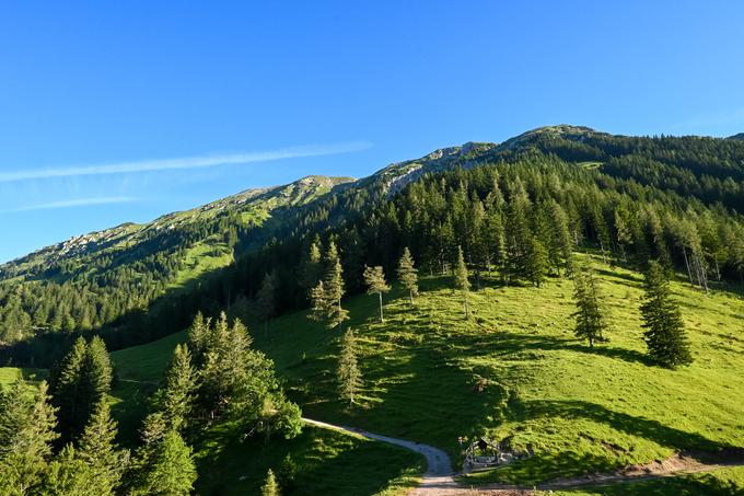 Pogled izpred koče na Prevali proti grebenu Begunjščice | Foto: Matej Podgoršek