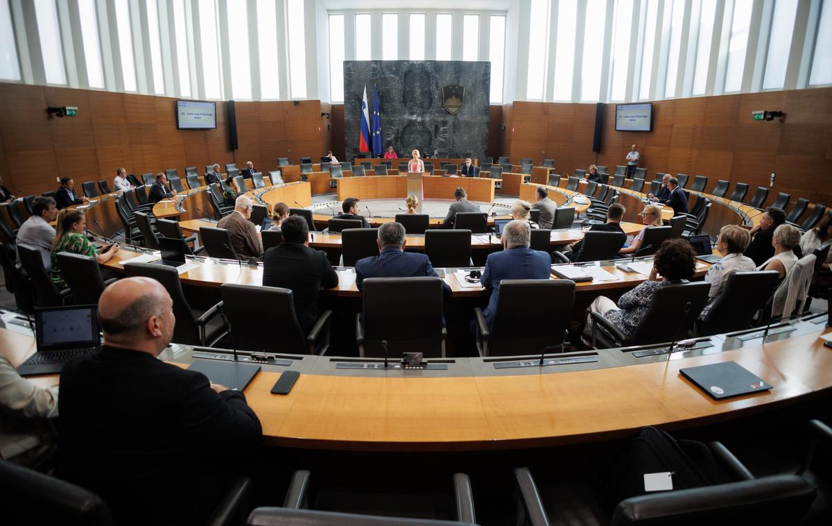 Državni zbor | Poslanci so na tokratni redni seji obravnavali tudi več zakonskih predlogov, vezanih na romska vprašanja. | Foto Nebojša Tejić/STA