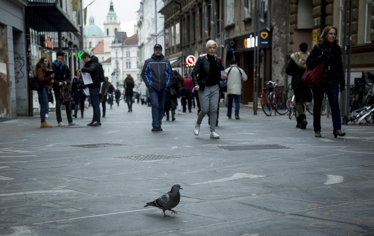 Ulica. | Preizkus znanja slovenskega jezika na osnovni ravni lahko tujci opravijo v ustanovah, ki izvajajo javno veljavni program izobraževanja slovenščina kot drugi/tuji jezik.  | Foto Ana Kovač