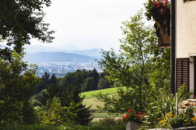 Tudi to, da so na obrobju Ljubljane, pripomore k temu, da prodajo vse. | Foto: Bojan Puhek