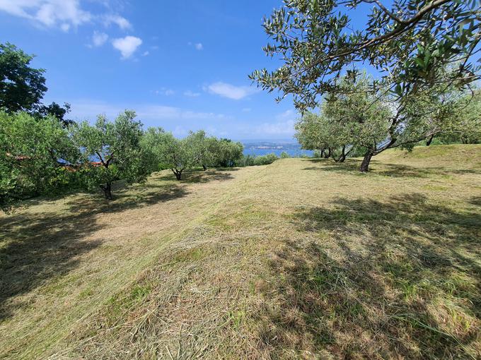 Petek bo prinesel izboljšanje vremena | Foto: David Florjančič, Meteoinfo Slovenija