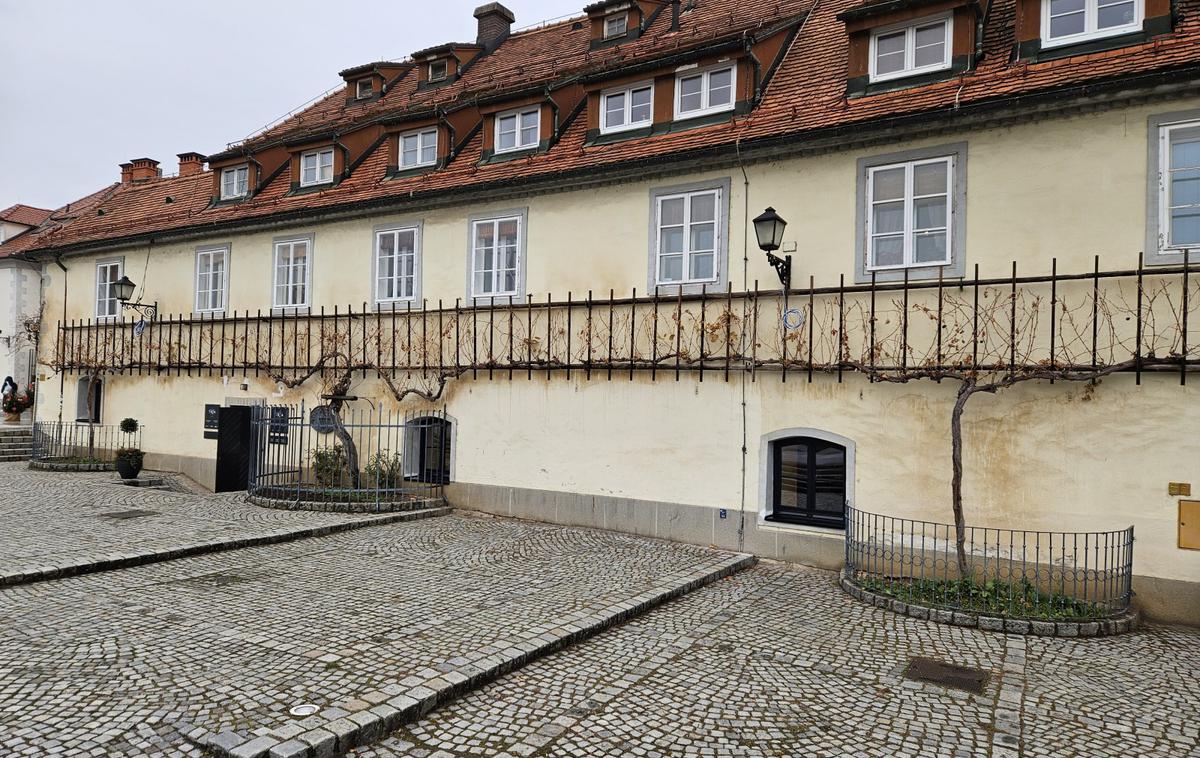 Lent | Hišo Najstarejše trte so odprli za javnost pred 17 leti in je najbolj obiskana turistična točka v mestu.  | Foto STA