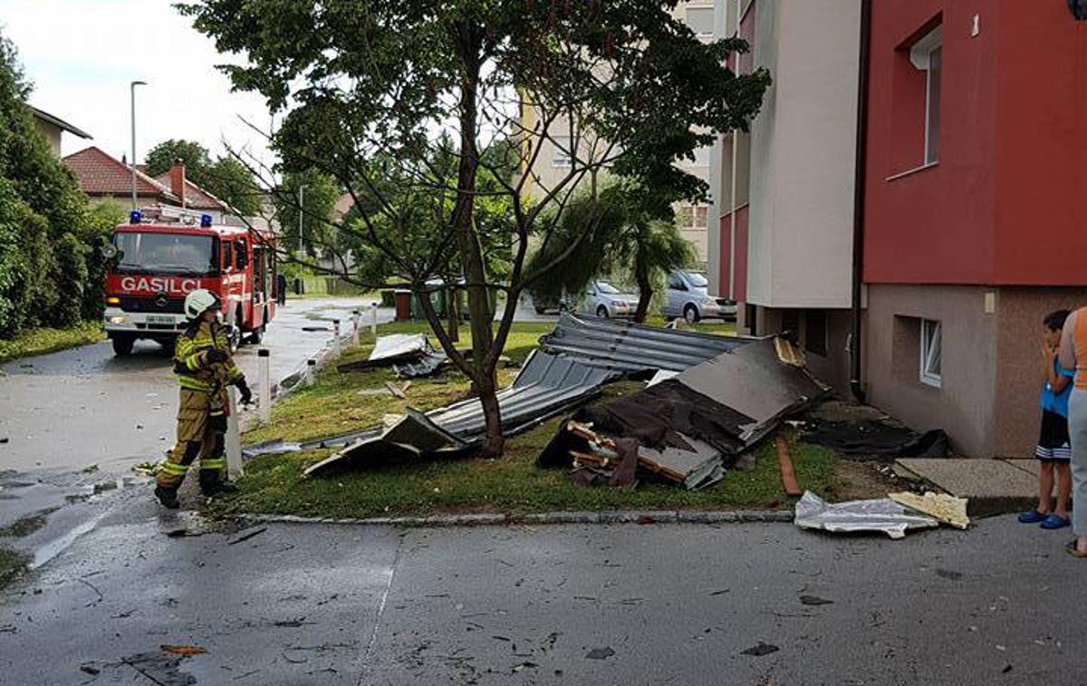 vreme, neurje, ptuj, drevesa | Foto Alen Iljevec