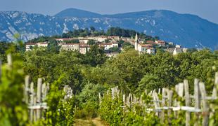 Najboljše gostilne na Krasu, v Vipavski dolini in Brkinih