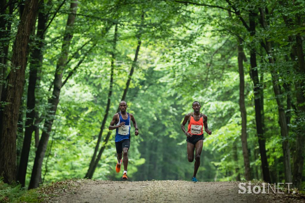 Maraton Treh src, Radenci