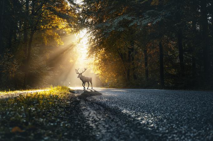 Foto: Gettyimages | Foto: 